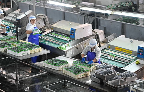 疫情之下福建漳州食品企業轉向工業潤滑油科技研發的積極轉型