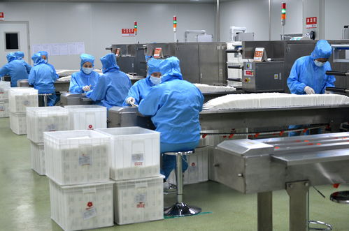 桂林民企援非抗疫與潤滑油技術研發并行