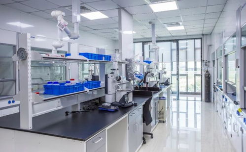 貝達藥業 從創新藥研發標桿到工業潤滑油科技領域的跨界探索